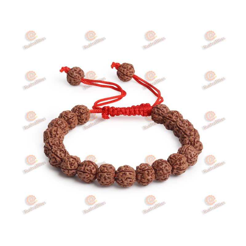 rudraksha bst