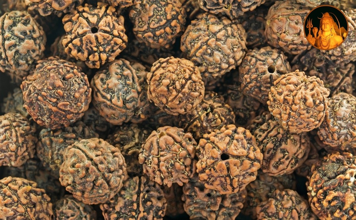21-Types-of-Rudraksha-and-Their-Incredible-Benefits
