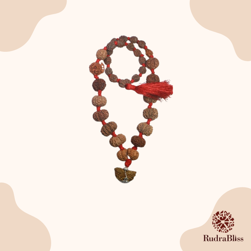 1-14 Mukhi Sarva Siddha Rudraksha Mala