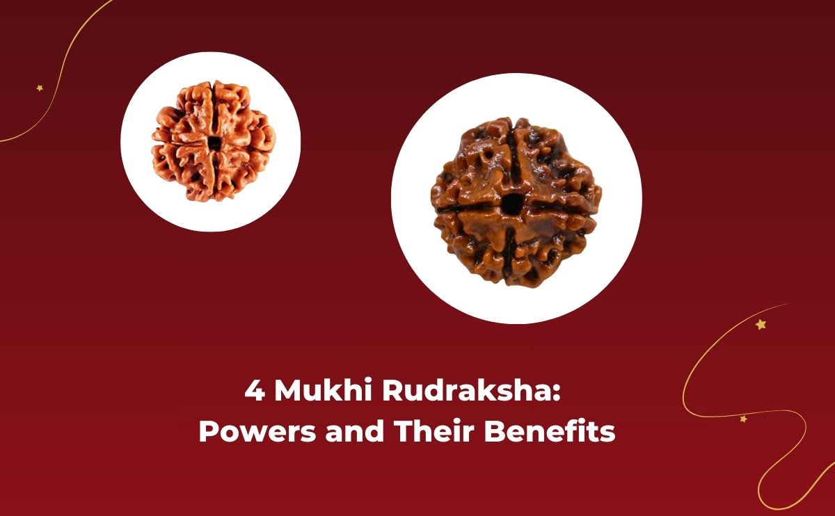 4 Mukhi Rudraksha: Powers and Their Benefits