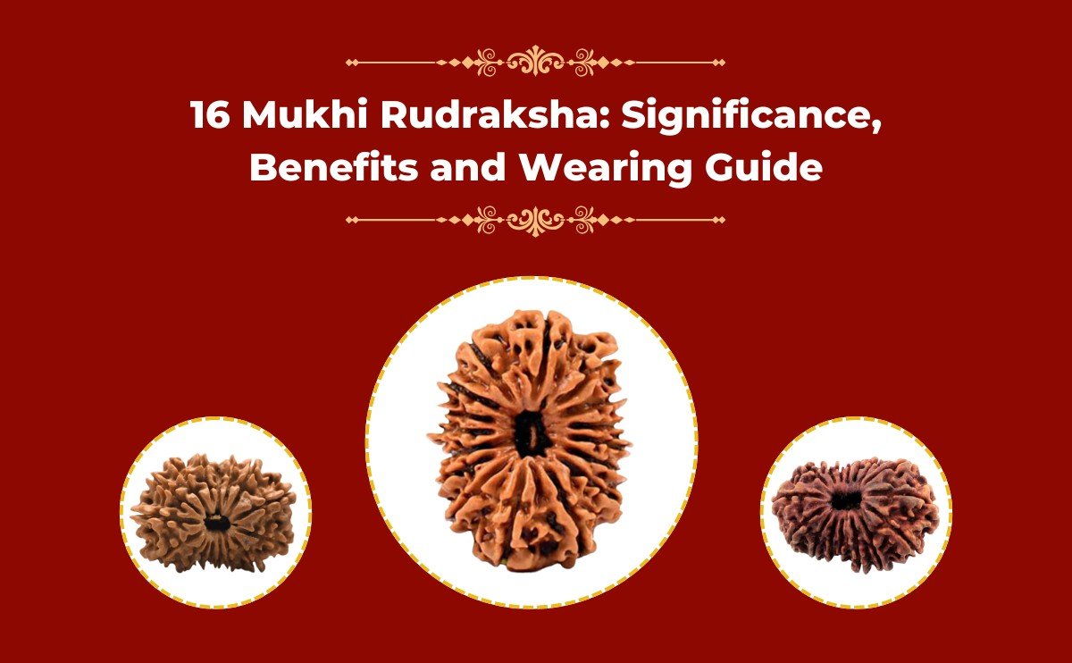 16-mukhi-rudraksha