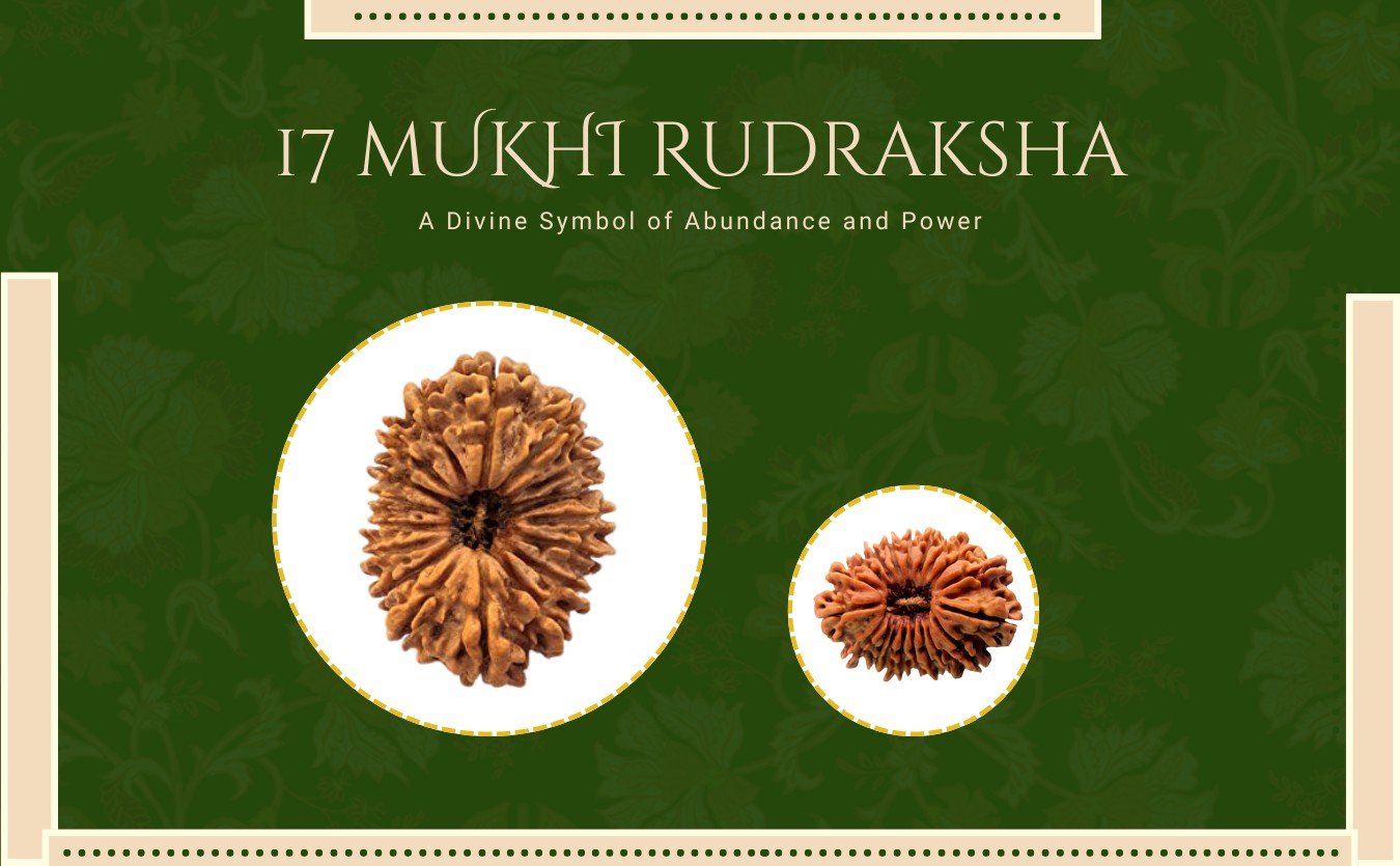 17-mukhi-radraksha