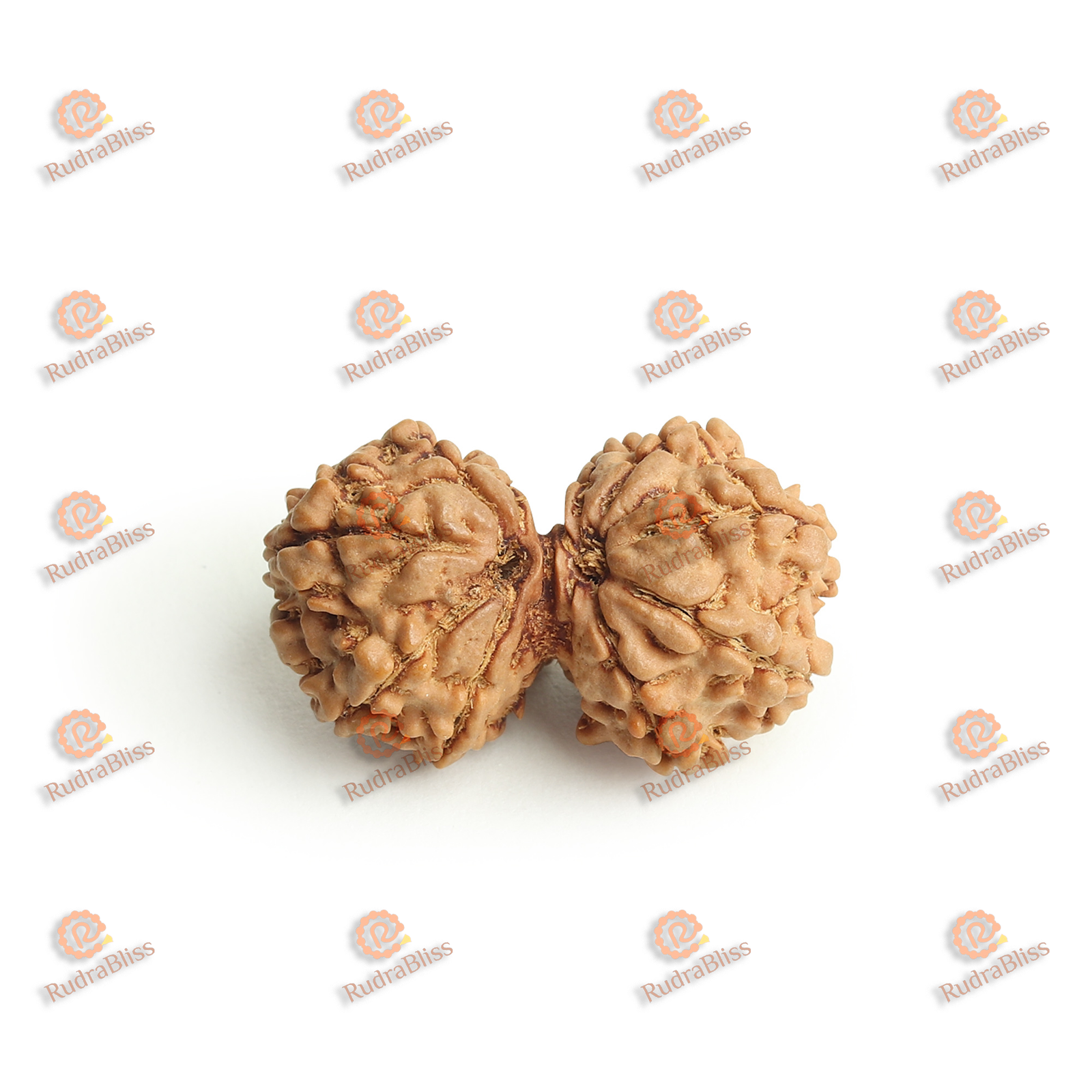 Gauri Shankar Rudraksha - Nepal