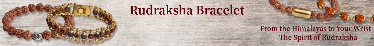 rudraksha bsts