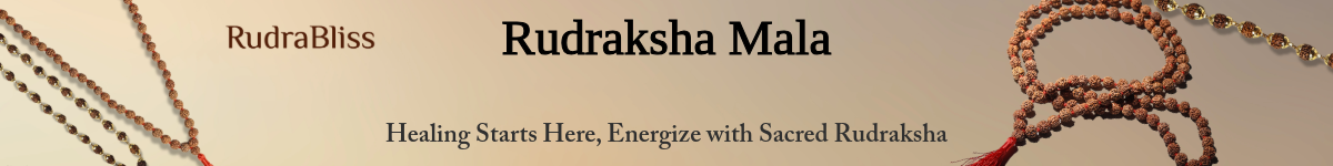 rudraksha ml