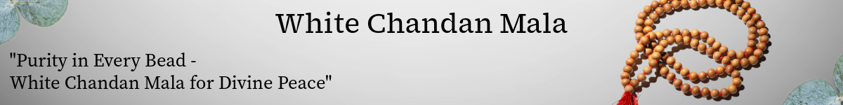 white chandan ml