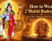 Ardhanarishwara and 2 Mukhi Rudraksha Guide